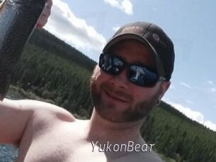 YukonBear