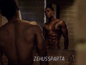 ZEHUS_SPARTA