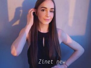 Zinet_new