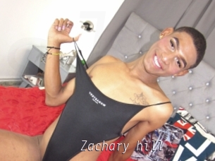 Zachary_hill