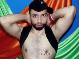 Zevit