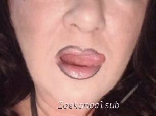 Zoekanaalsub