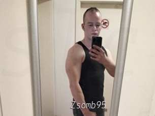 Zsomb95